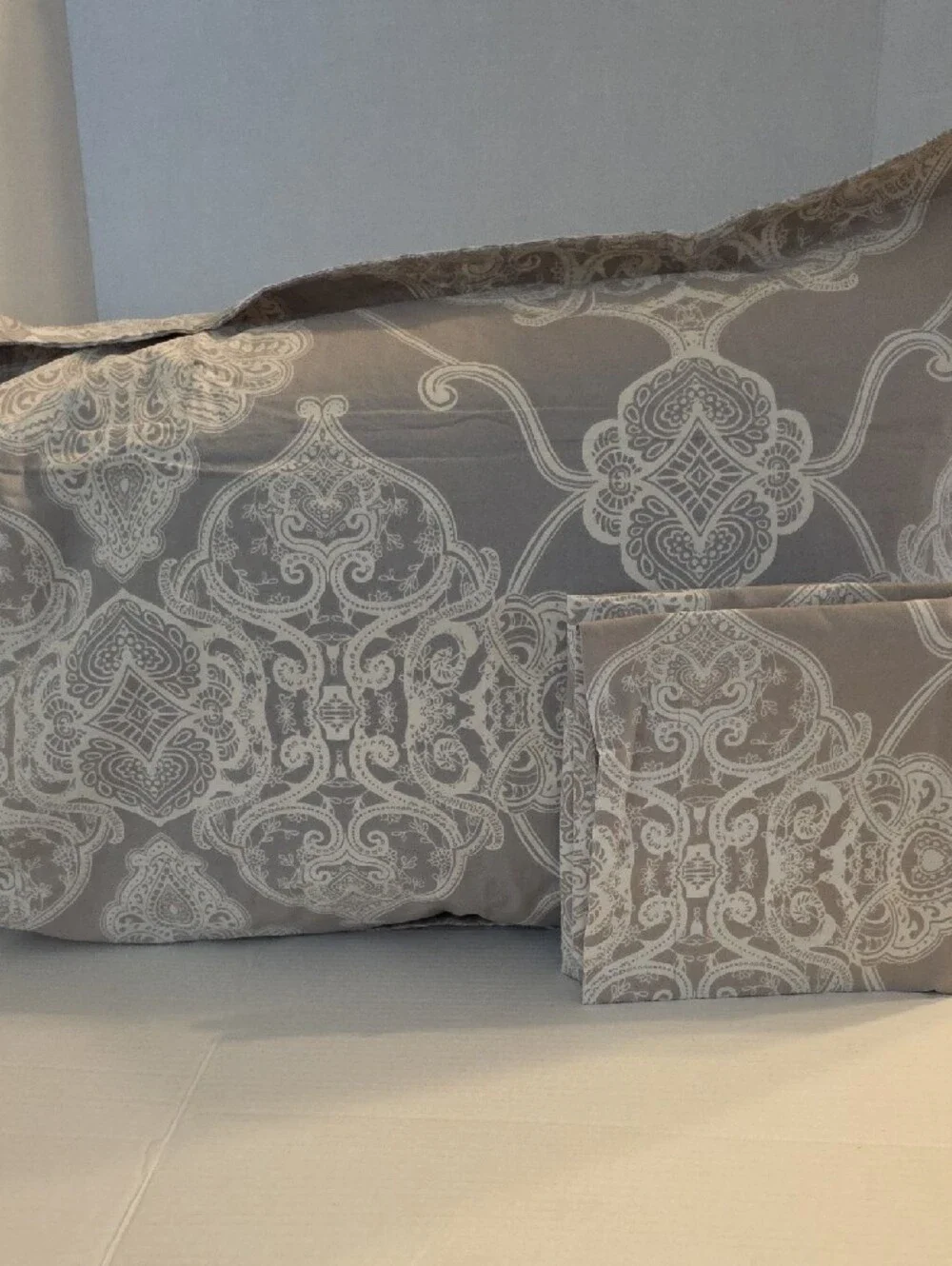 Pottery Barn Alana Medallion Taupe Ivory Ombre Cotton Standard Pillow Sham Set